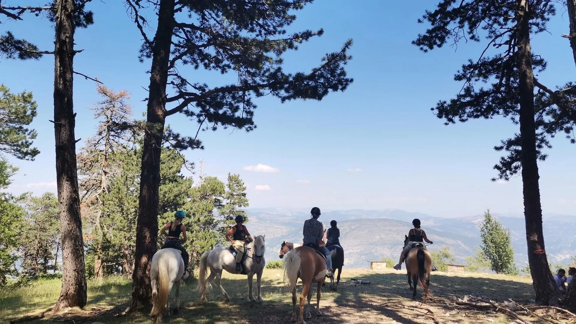 Hébergement de vacances Gîte en Provence 