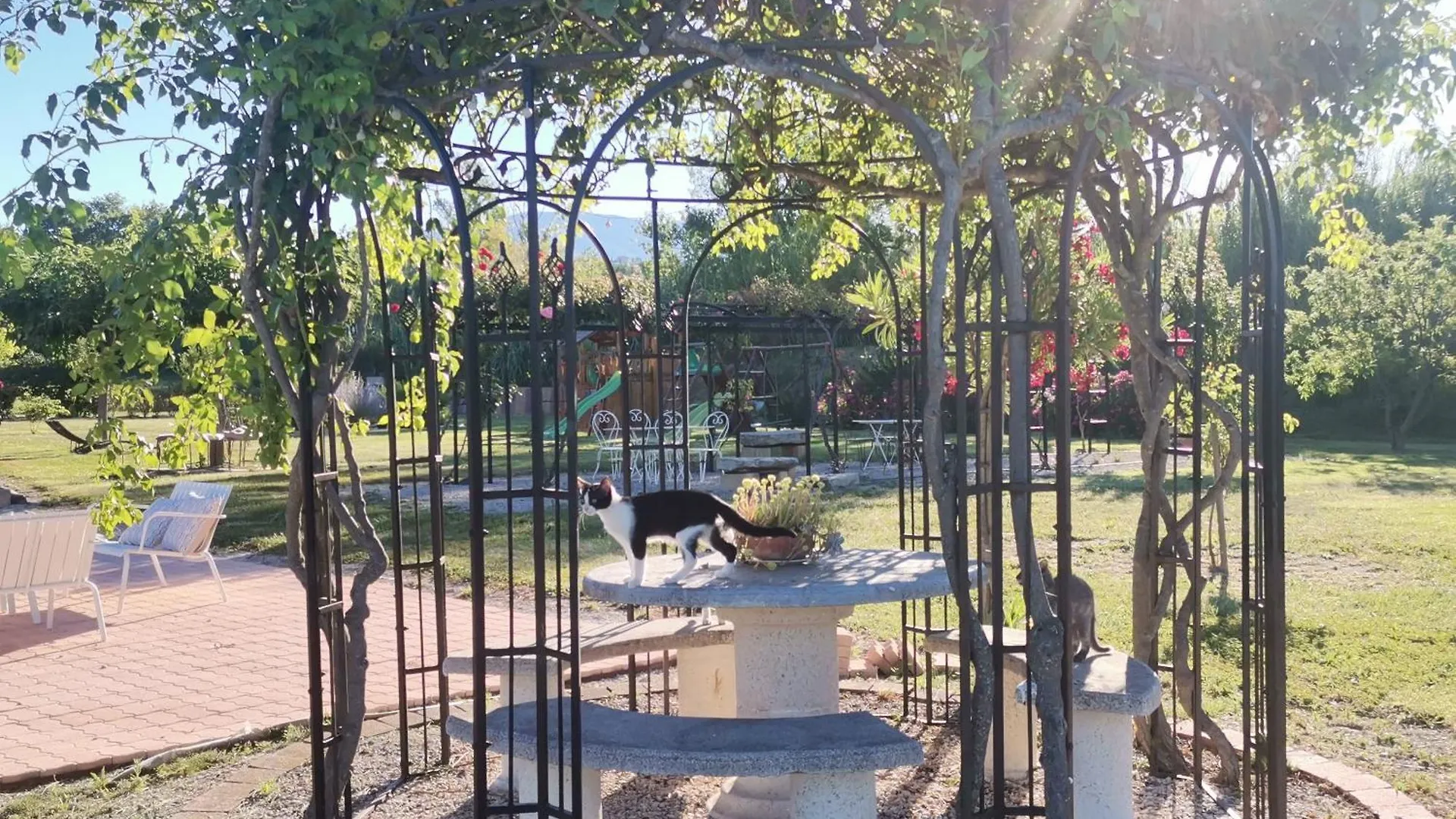 Gîte en Provence 