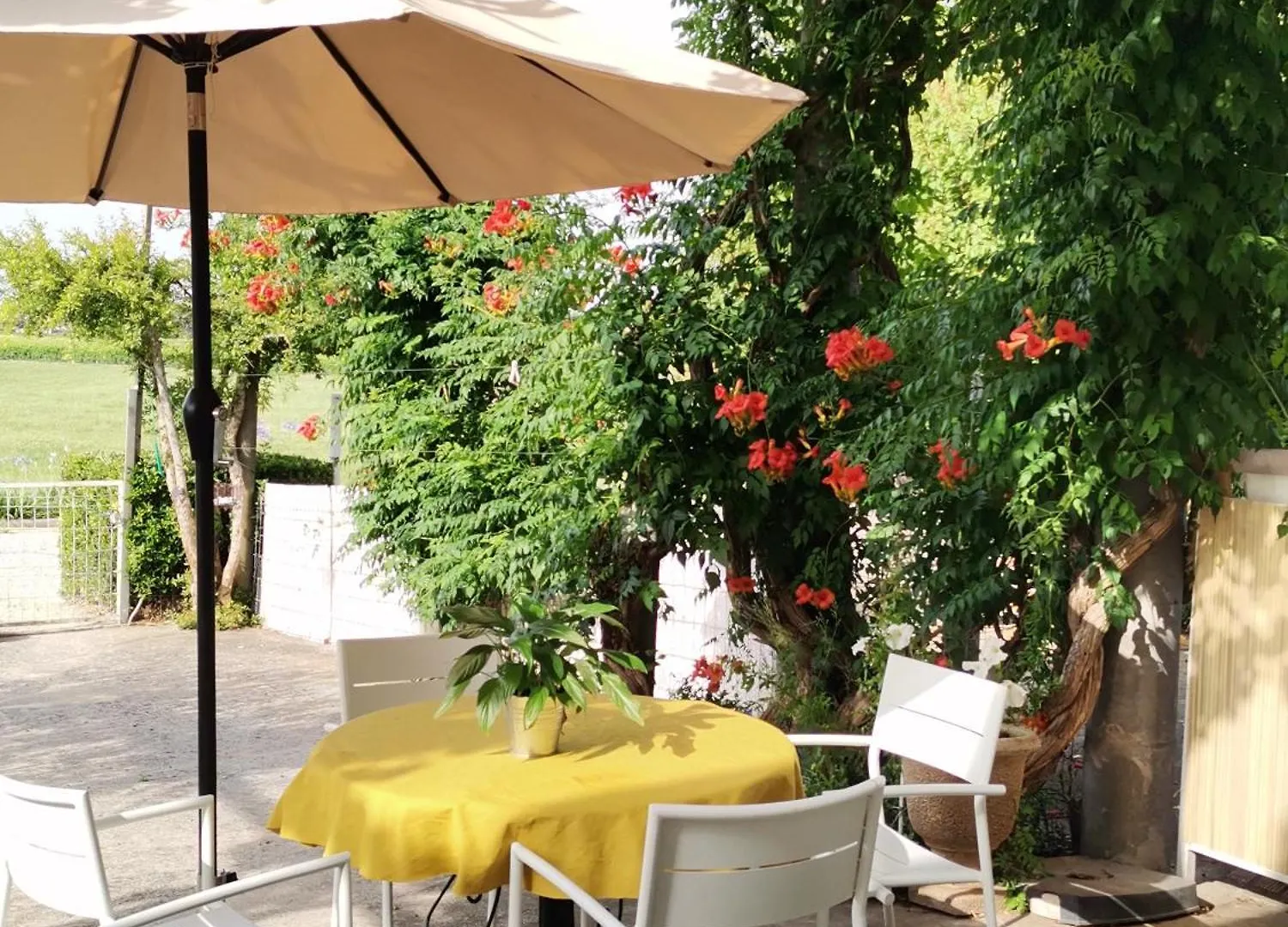 Gîte en Provence 