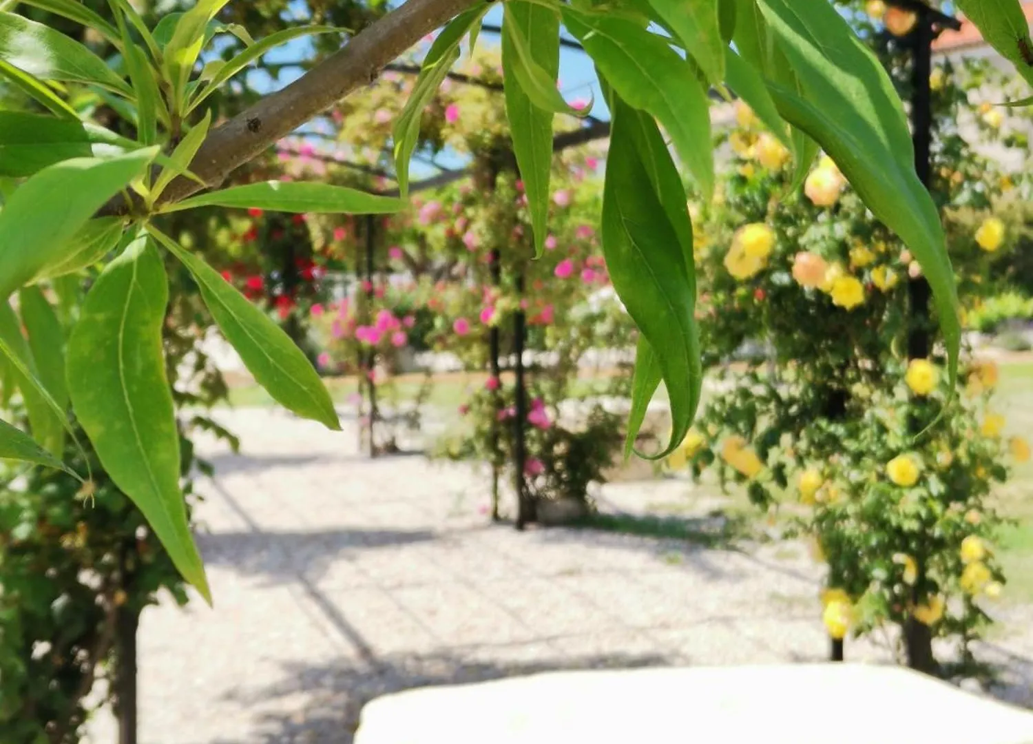 Gite En Provence 